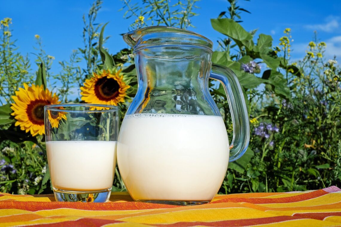 matelas en mousse à base de lait